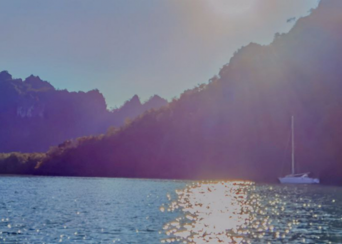 WEBSITE BACKGROUND (1)